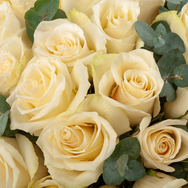 Розы в коробке Розовая вуаль