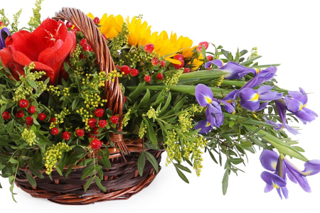 Букет Вокруг солнца