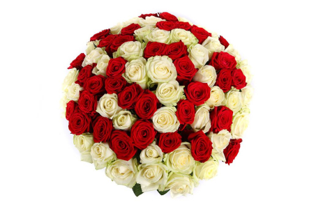Букет 75 роз красно-белый микс