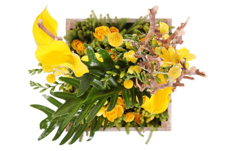 Композиция Золотая нива