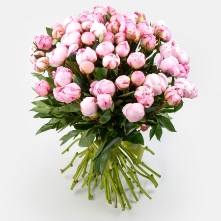 Букет из пионов 51 мгновение любви