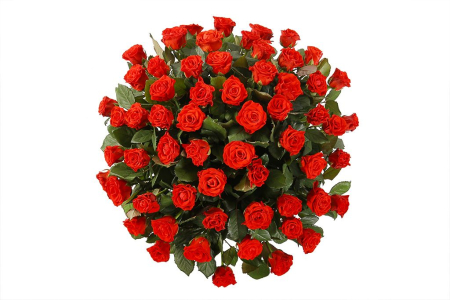 Букет 51 роза в корзине, 50 см