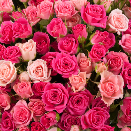 Букет из 101 розы Ожившая мечта