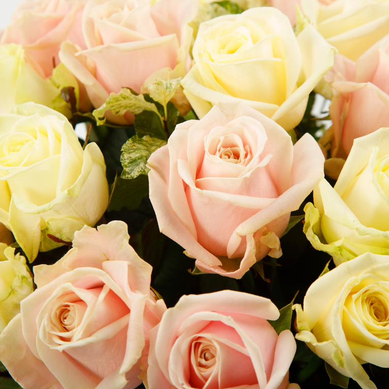 Букет из 25 роз Лолита