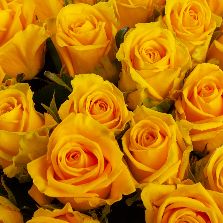 Букет из 101 розы Золото любви