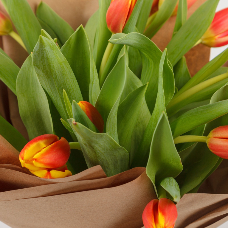 Букет тюльпанов Поцелуй весны