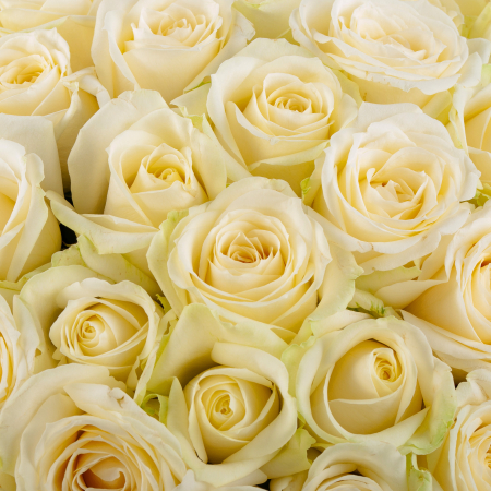 Букет из 101 розы в крафте Мелодия любви