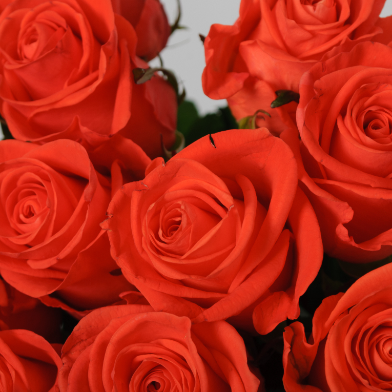 Букет 15 роз Вау