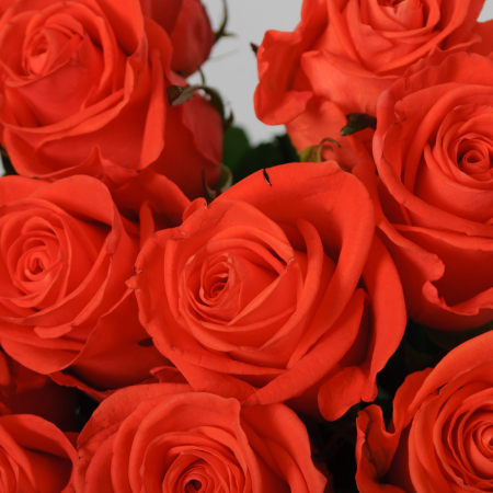 Букет 15 роз Вау