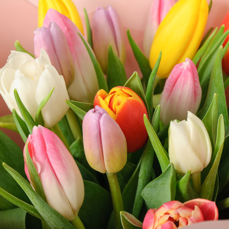 Букет 25 тюльпанов микс