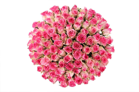 Букет 101 роза Малибу