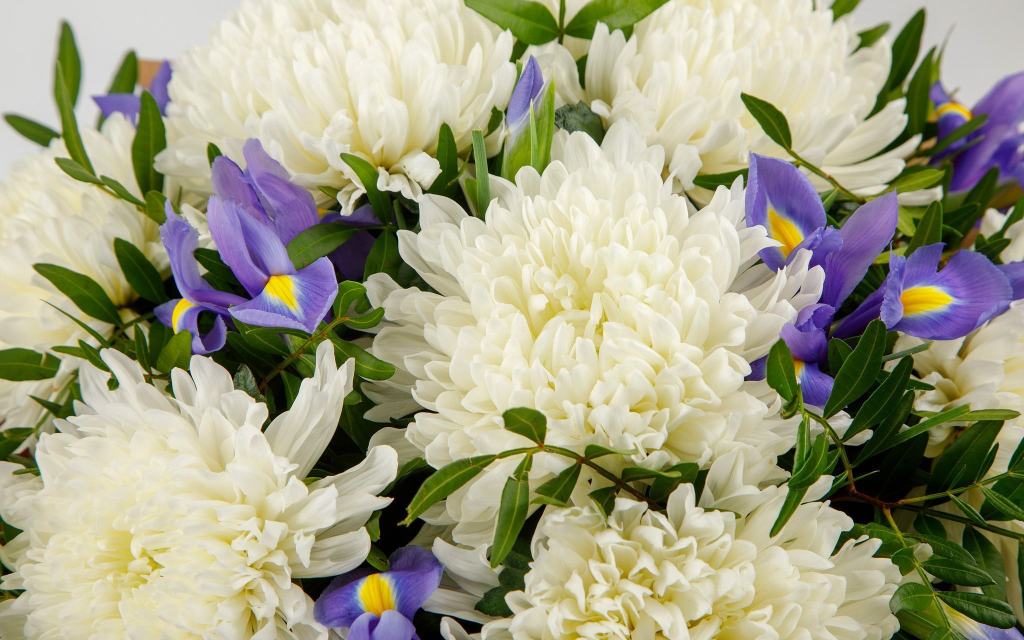 Букет Венский вальс