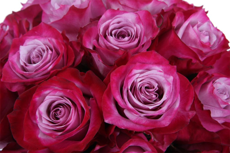 Букет Малиновые сны в шляпной коробке Букет Малиновые сны в шляпной коробке