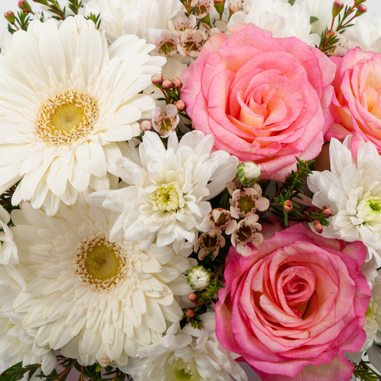 Композиция в кашпо Облака на рассвете