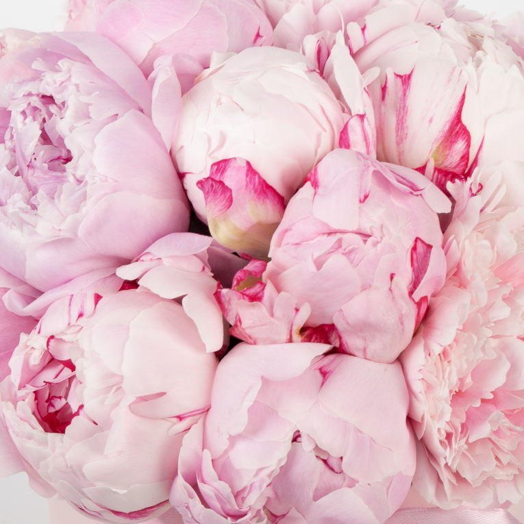 Цветы в коробке 15 комплиментов