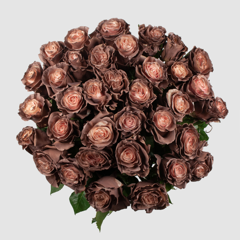 Букет 35 роз Кофе со сливками