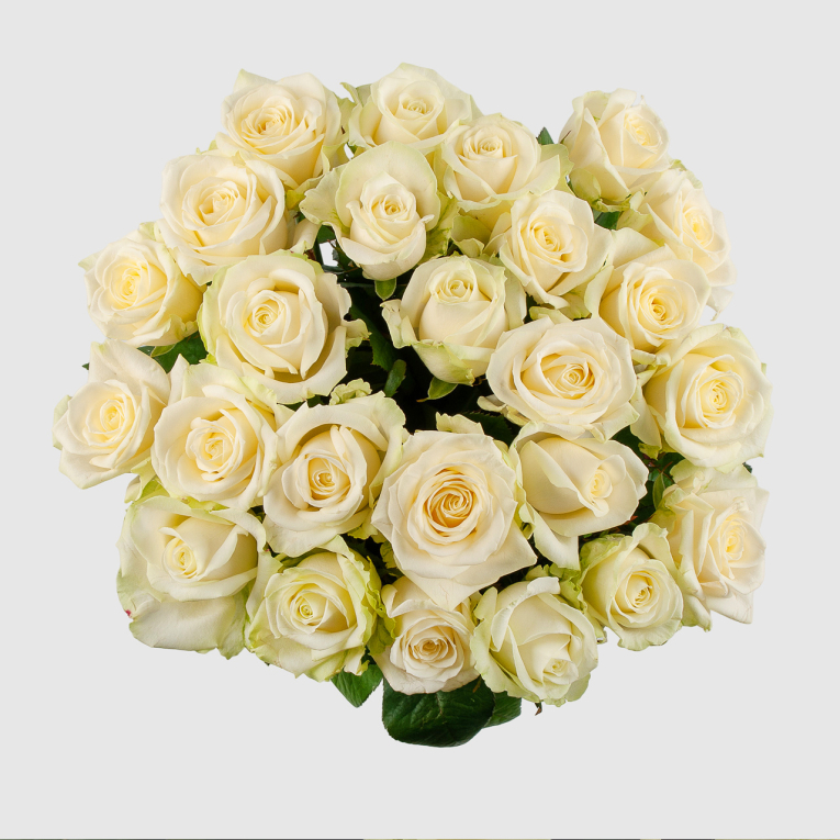 Букет из 25 роз Восторг любви