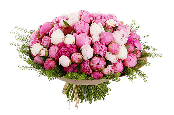 Букет из пионов Сенсация