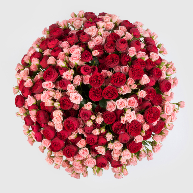 Букет в коробке Поцелуй рыцаря (101 роза)