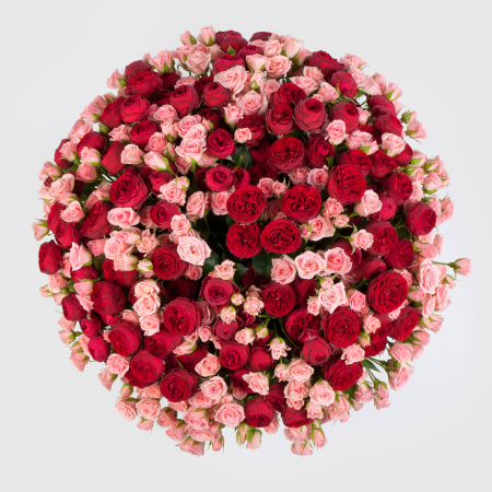 Букет в коробке Поцелуй рыцаря (101 роза)