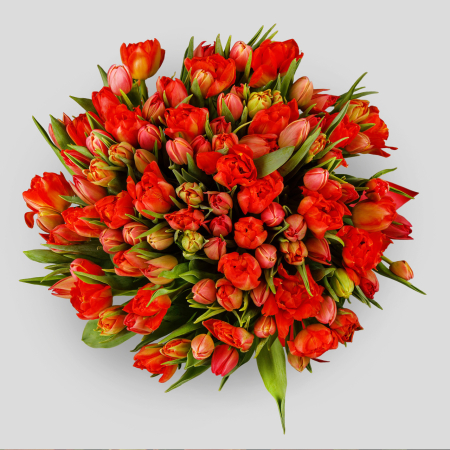 Букет 101 тюльпан, красно-оранжевые