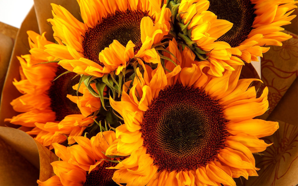 Букет из 5 подсолнухов в крафт-упаковке