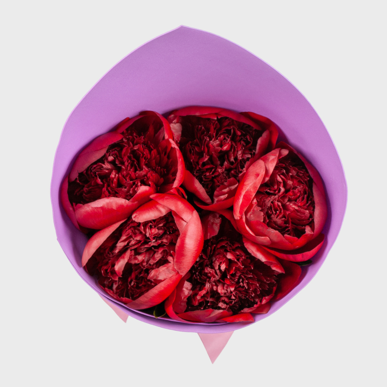 Букет 5 пионов Страстный порыв