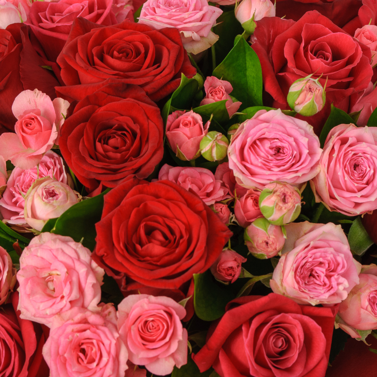 Букет Любовь испанки