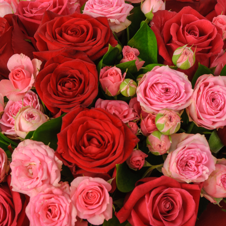 Букет Любовь испанки