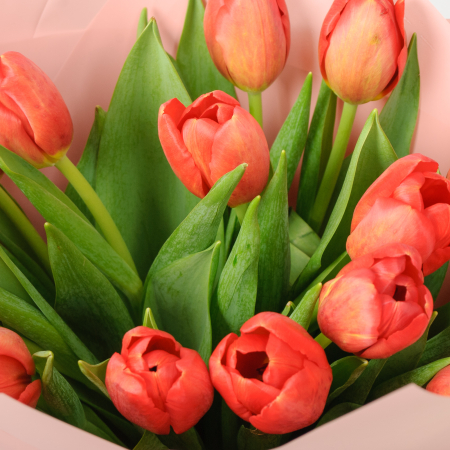 Букет 15 красных тюльпанов