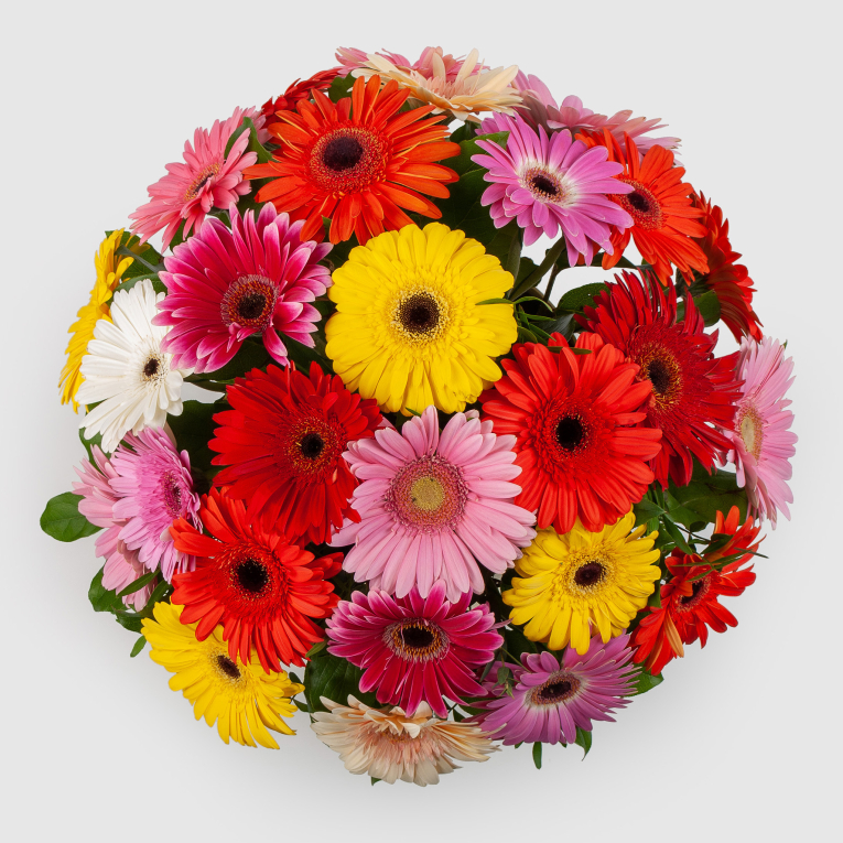 Букет в коробке Песня звезд (макси)