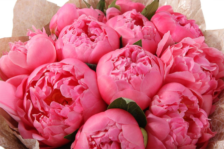 Букет из пионов Эйфория