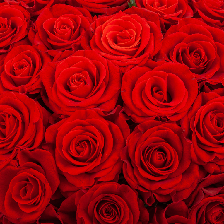 Букет в коробке Самая любимая (51 роза)