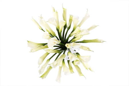 Букет Белые ночи