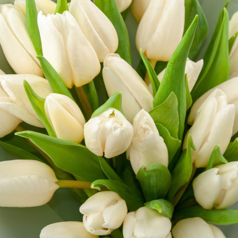 Букет Дни юности