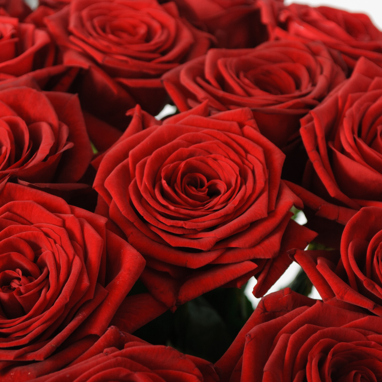 Букет 19 красных роз Ред Наоми (60 см)