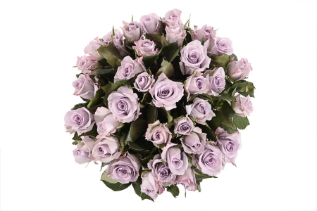 Букет Песнь Океана (35 роз)