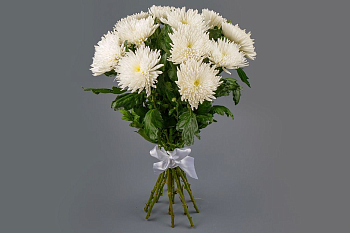 Букет из 11 белых хризантем Сингл