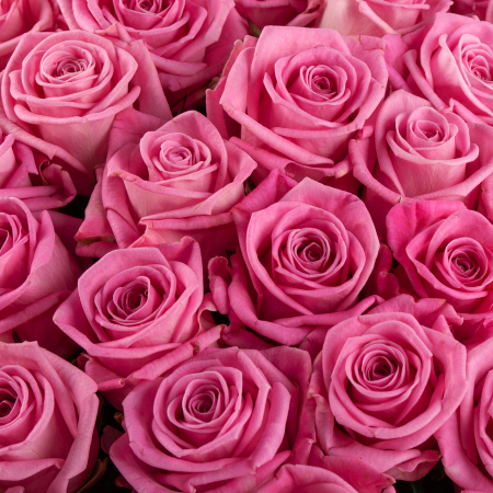 Букет из 101 розы Цвет сердца