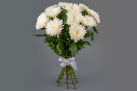 Букет из 11 белых хризантем Сингл