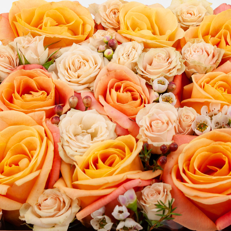 Розы в коробке Персиковая мечта