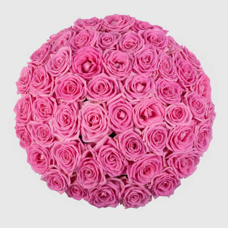 Букет в белой коробке Жар сердца (51 роза)