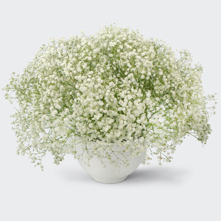 Букет в кашпо Белый шум