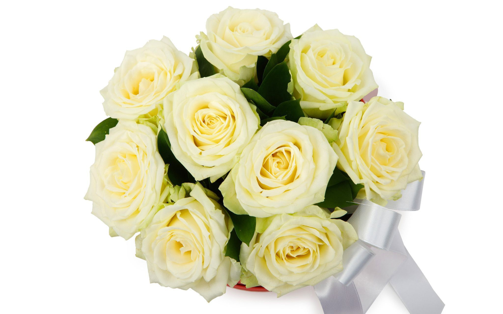 Цветы в коробке 9 роз Мондиаль