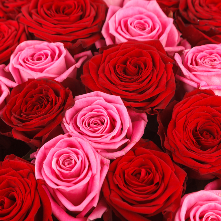 Букет 51 роза Старинные розы