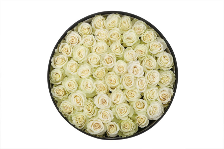 Букет 55 роз Мондиаль в шляпной коробке