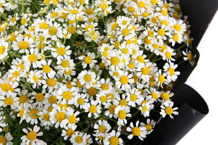 Букет Летняя ночь