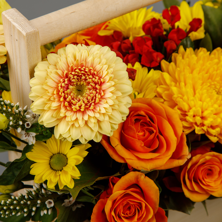 Композиция в кашпо Молодые и яркие