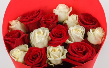 Букет из роз Арлекино (миди)