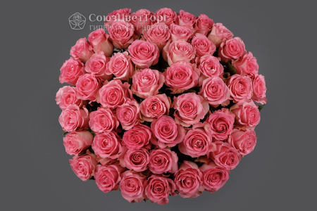 Букет 51 роза Свит Юник